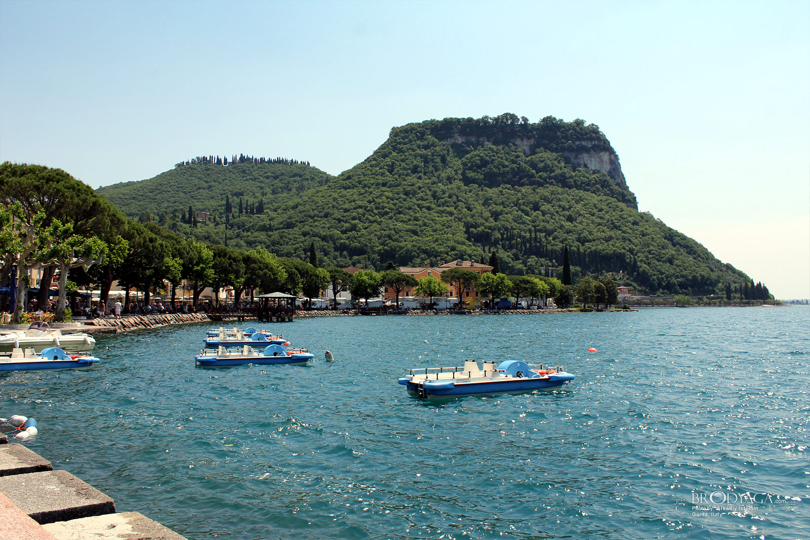 Garda
